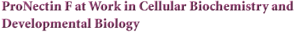 ProNectin F at Work in Cellular Biochemistry and Developmental Biology